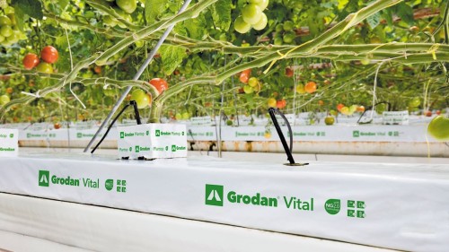 WEŁNA MINERLANA GRODAN, MATA VITAL-EXPERT 100x15x7.5cm