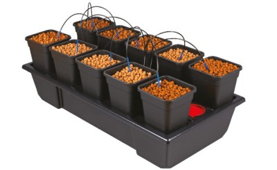  WILMA SMALL WIDE 10, KOMPLETNY SYSTEM HYDROPONICZNY, 10xDONICA 6L, 116x59xh41cm / 85L