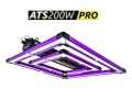 lum200prologo