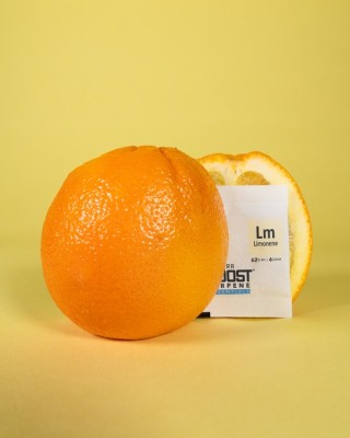 REGULATOR WILGOTNOŚCI DO SUSZU ROŚLINNEGO - INTEGRA BOOST TERPENE ESSENTIALS LIMONENE 4G / 62%, UWALNIA LUB POCHŁANIA WILGOĆ + TERPENY , do 4g suszu, poprawia smak 