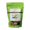 big_plant_500g