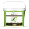 big_plant_3kg