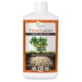 power_plant_1l