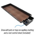 Tray2Grow_RCD_Only_NO_SHADOW_Caption_WEB.jpg