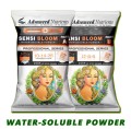 an-sensi-bloom-powder-ab