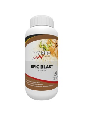 !-EPIC BLAST BOOSTER 250ml, STYMULATOR KWITNIENIA DO KOKOSU (PK + MIKROELEMENTY), HY-PRO, Amnesia 