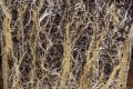 pol_pl_MycoTerra-Kraken-proszek-biostymulator-wzrostu-i-odpornosci-korzeni-4638_3.jpg
