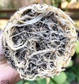 pol_pl_MycoTerra-Kraken-proszek-biostymulator-wzrostu-i-odpornosci-korzeni-4638_6.jpg