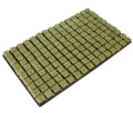 grodan taca 150