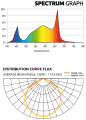 ZEUS600W31_PRO_GRAPH.png
