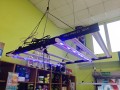 signal-2025-03-13-113606_003.jpeg