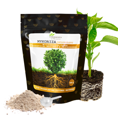 MYKORIZA PREMIUM 250g -  MIKORYZA (18 grzybów), TRICHODERMA (9 gatunków), BAKTERIE I MIKROORGANIZMY W PROSZKU, 400% WIĘKSZY KORZEŃ, ORGANICS NUTRIENTS, mykoryza