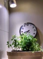pol_pl_VERTICANA-R-Zarowka-35W-BIALA-soczewka-15-4105_12.webp