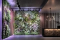 pol_pl_VERTICANA-R-Zarowka-35W-BIALA-soczewka-15-4105_7.webp