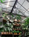 pol_pl_VERTICANA-R-Zarowka-35W-BIALA-soczewka-15-4105_11.webp