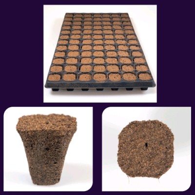 TACA + PODŁOŻE DO WYSIEWU - PLAGRON NEXTGEN GROWPLUG, 84szt. 54x31cm (kostka fi35 x h40mm)