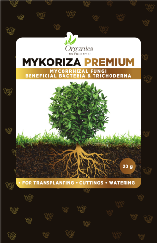 MYKORIZA PREMIUM 20g -  MIKORYZA (18 grzybów), TRICHODERMA (9 gatunków), BAKTERIE I MIKROORGANIZMY W PROSZKU, 400% WIĘKSZY KORZEŃ, ORGANICS NUTRIENTS, mykoryza