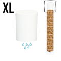 XL