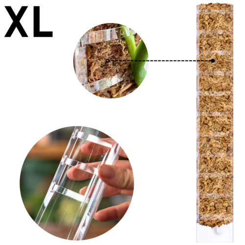 PALIK Z OTWIERANYM FRONTEM "XL" 63x9,5cm, DO NAPEŁNIENIA MCHEM TYPU SPAGNHUM, PLANTSCRAPER MOSS POLE