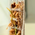 Front_Opening_Moss_Poles.webp