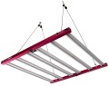 wmremove-transformed.jpeg.jpg