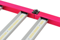 zCKC_5287 - Editada.png.jpg