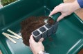 g227_28_cell_deep_root_success_kit_cells_in_use_with_compost_1.jpg