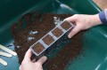 g227_28_cell_deep_root_success_kit_cells_in_use_with_compost_2.jpg