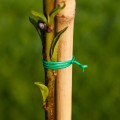 pol_pl_Drut-ogrodniczy-50m-Bioogrod-861_3.jpg