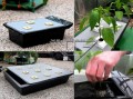 nc-gro-tank-205X