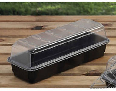 PROPAGATOR - SZKLARENKA - UKORZENIACZ  37 x 13.5 x h12 cm, szklarnia