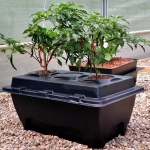 KOMPLETNY SYSTEM HYDROPONICZNY NA 2 ROŚLINY, DWC OXYPOT 70L, 83x58.5xh38cm, NUTRICULTURE