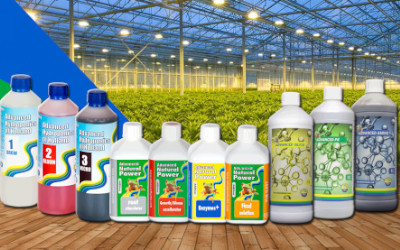 Advanced Hydroponics of Holland - Charakterystyka